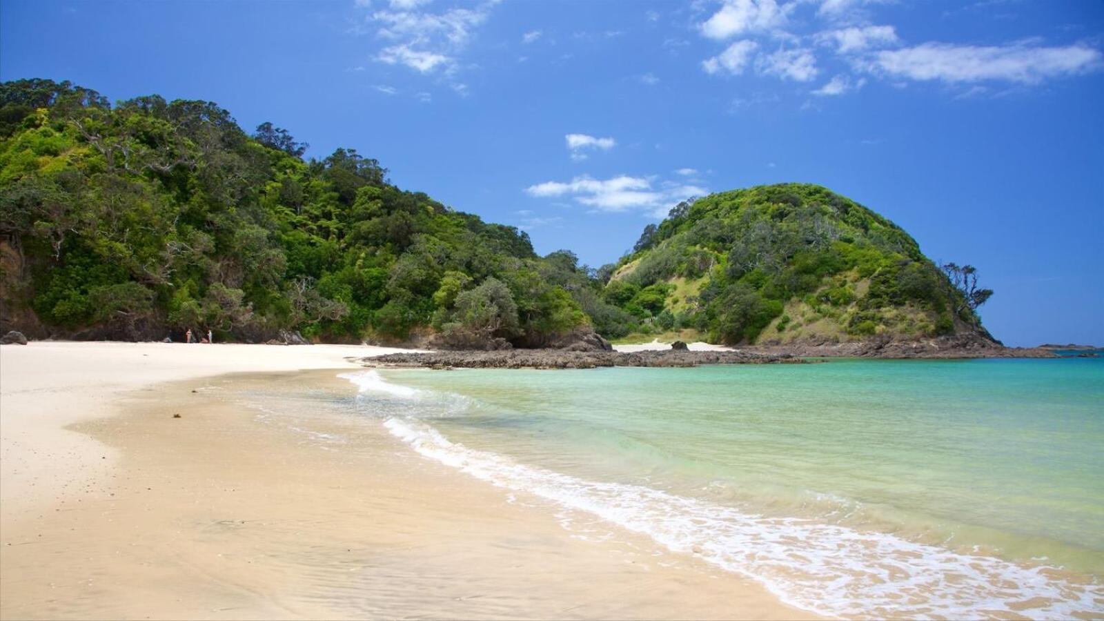 Bk'S Pohutukawa Lodge Whangarei Dış mekan fotoğraf